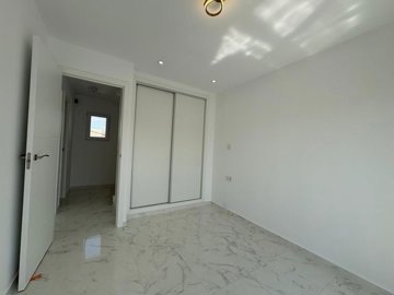 21822523