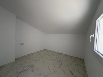 21822524