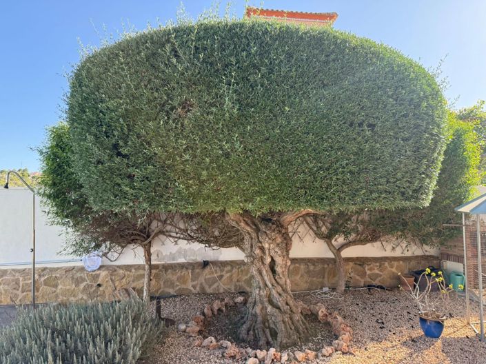 Image No.26-Villa for sale