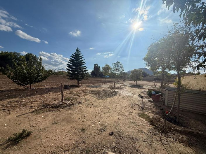 Image No.44-Villa de 3 chambres à vendre à Catral