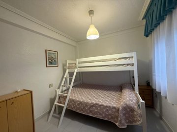22043539