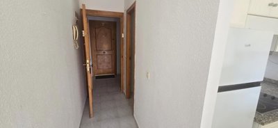 22048196