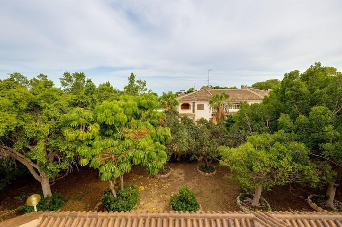 Image No.40-Maison de 3 chambres à vendre à Torrevieja