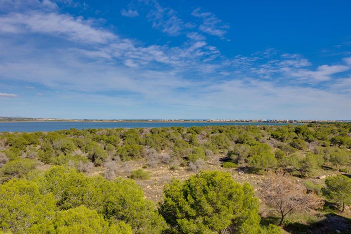 Image No.37-Appartement de 3 chambres à vendre à Torrevieja