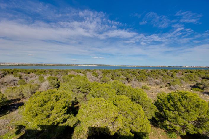 Image No.41-Appartement de 3 chambres à vendre à Torrevieja