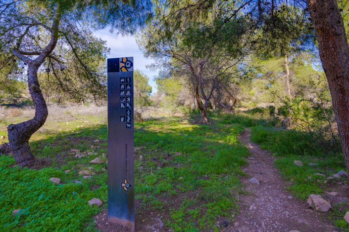 Image No.50-Appartement de 3 chambres à vendre à Torrevieja