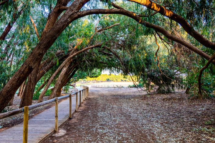 Image No.54-Appartement de 3 chambres à vendre à Torrevieja