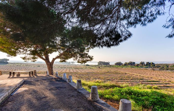 Image No.61-Appartement de 3 chambres à vendre à Torrevieja