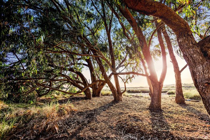 Image No.77-Appartement de 3 chambres à vendre à Torrevieja