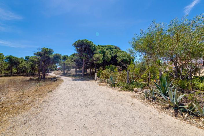 Image No.42-Appartement de 2 chambres à vendre à Guardamar del Segura