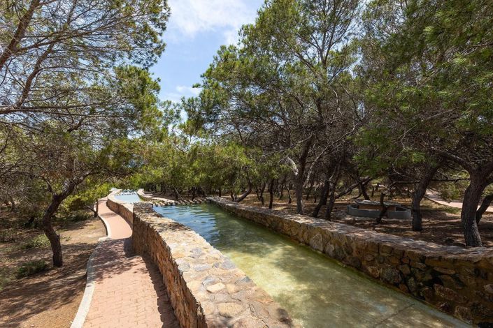 Image No.28-Bungalow de 2 chambres à vendre à Torrevieja