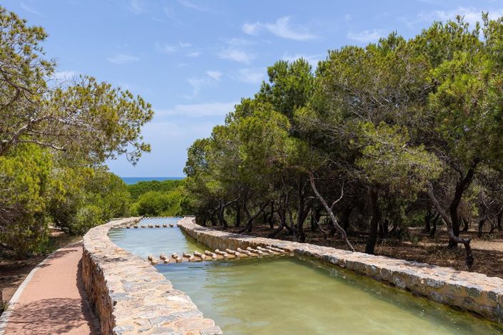 Image No.29-Bungalow de 2 chambres à vendre à Torrevieja