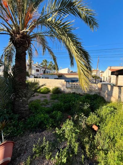 Image No.8-3 Bed Villa for sale