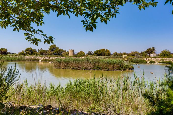 Image No.51-Villa de 2 chambres à vendre à San Fulgencio