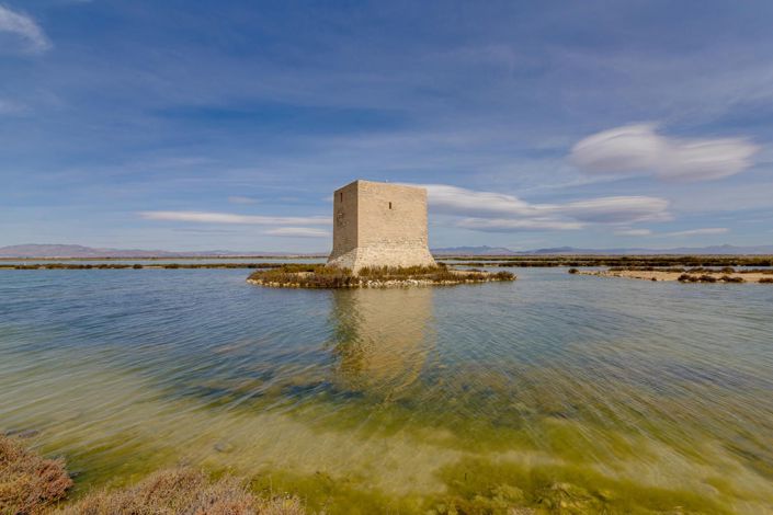 Image No.52-Villa de 2 chambres à vendre à San Fulgencio