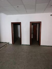 26515444