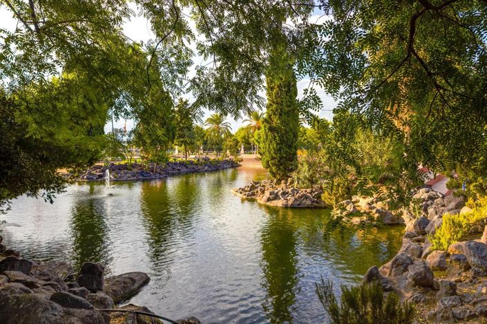 Image No.29-Appartement de 2 chambres à vendre à Torrevieja