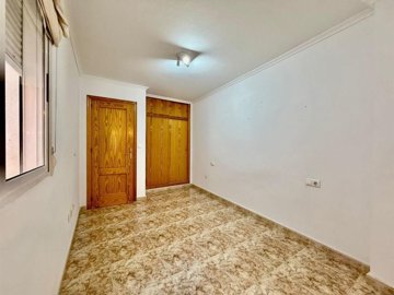 26207894