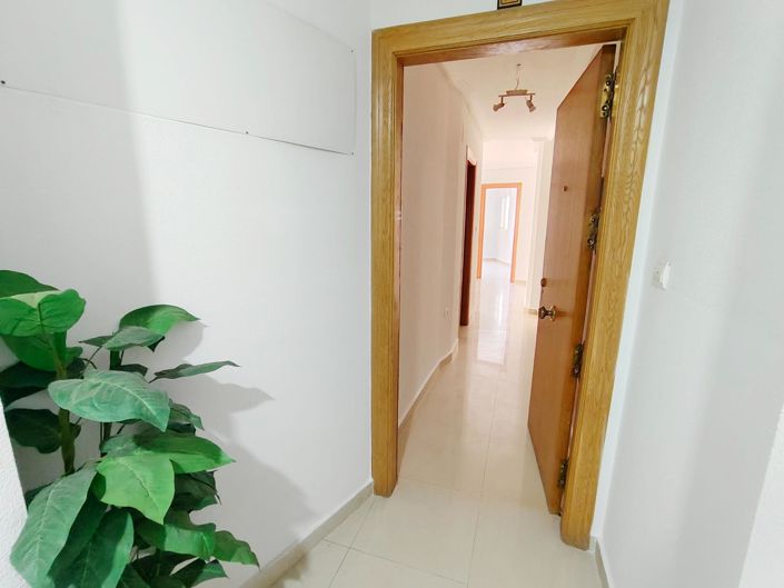 Image No.14-Appartement de 1 chambre à vendre à Torrevieja
