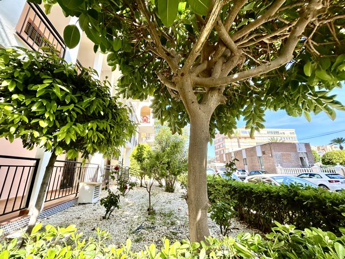 Image No.16-1 Bed Apartment for sale
