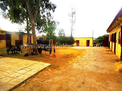 Image No.5-Commercial à vendre à Huercal-Overa