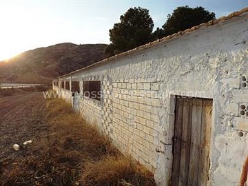 vh1019-cortijo-angela9