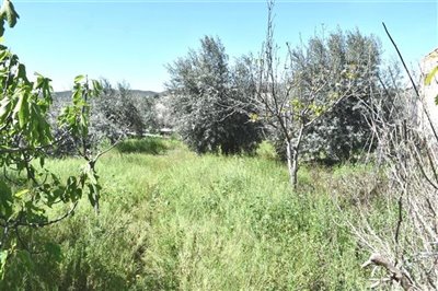 vh2000-villa-for-sale-in-huercal-overa-553239
