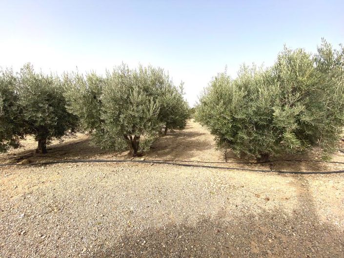 Image No.10-Property for sale