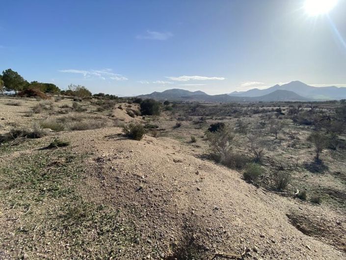 Image No.3-Property for sale