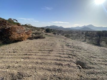 vh2473-rustic-land-for-sale-in-san-francisco-