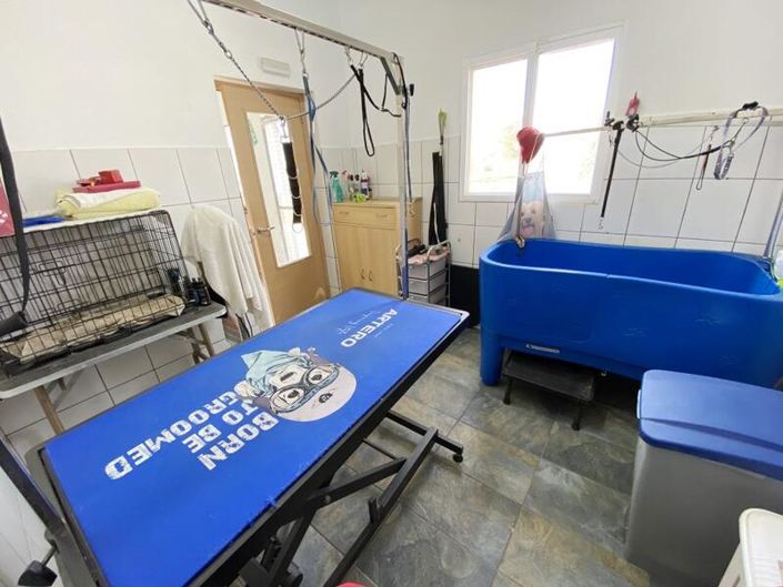 Image No.29-3 Bed Commercial for sale