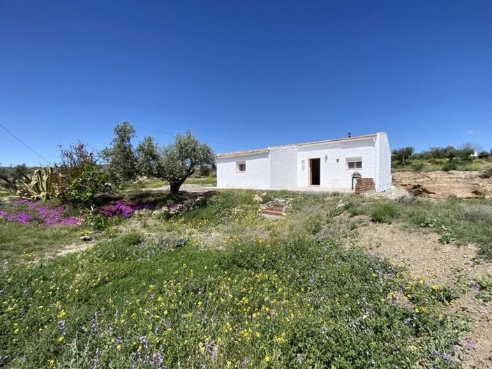 Image No.1-3 Bed Property for sale