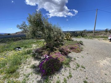 vh2555-country-house-for-sale-in-taberno-4721