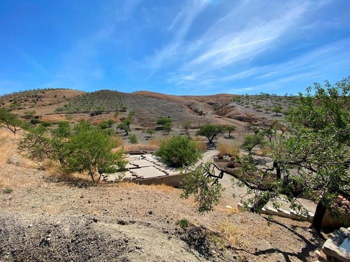 Image No.8-Propriété de 9 chambres à vendre à Huercal-Overa