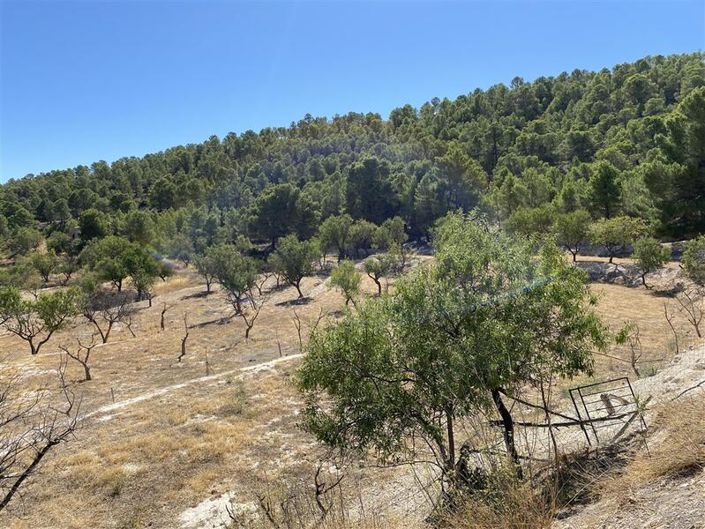 Image No.38-Propriété de 4 chambres à vendre à Velez Blanco