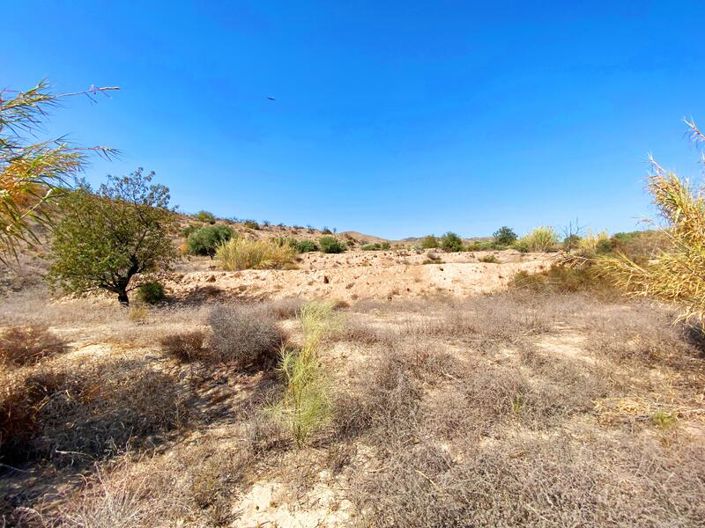 Image No.3-Propriété à vendre à Huercal-Overa