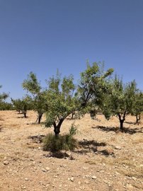 vh2644-urban-land-for-sale-in-los-pardos-vele