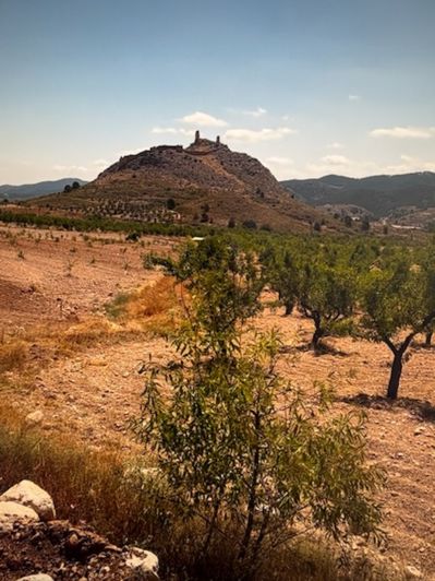 Image No.19-4 Bed Villa for sale