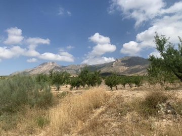 vh2644-urban-land-for-sale-in-los-pardos-vele