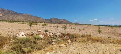 vh2644-urban-land-for-sale-in-los-pardos-vele