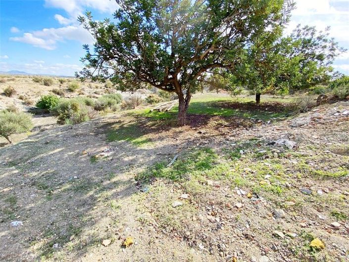 Image No.37-3 Bed Property for sale