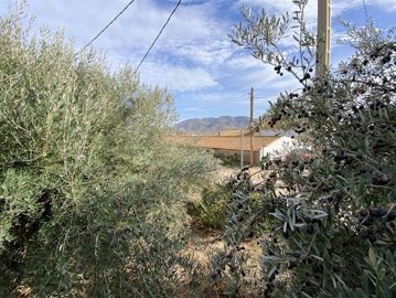 vh2678-villa-for-sale-in-gonar-67393303-uw