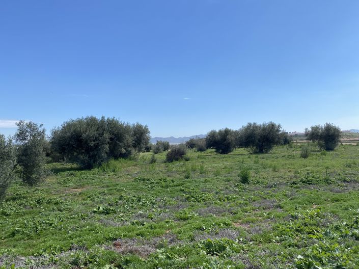 Image No.7-Propriété de 4 chambres à vendre à Huercal-Overa