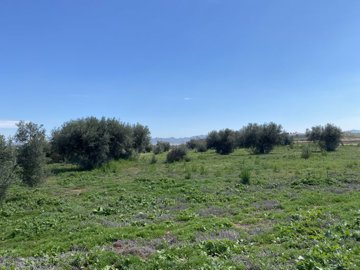 vh2719-rustic-land-for-sale-in-huercal-overa-