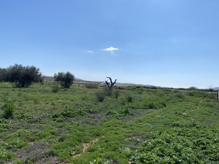 Image No.8-Propriété de 4 chambres à vendre à Huercal-Overa