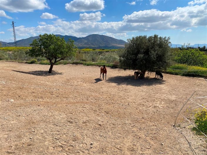 Image No.12-9 Bed Property for sale