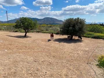 vh2728-country-house-for-sale-in-huercal-over