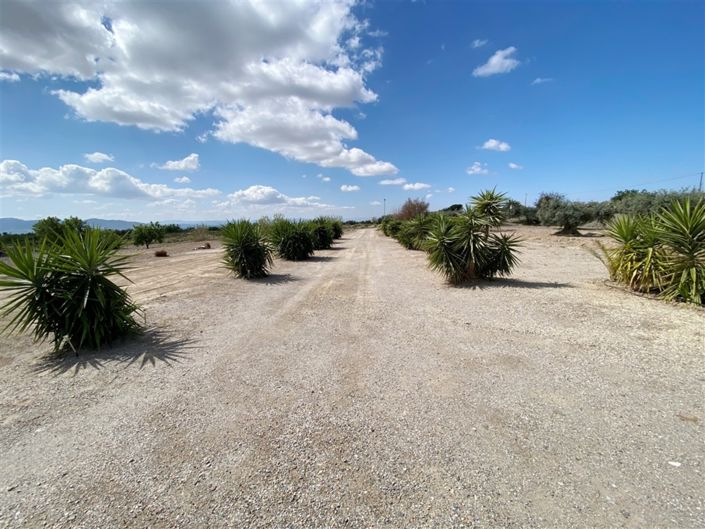 Image No.7-9 Bed Property for sale