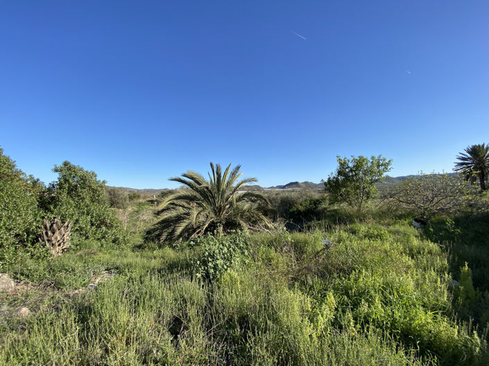 Image No.35-3 Bed Property for sale