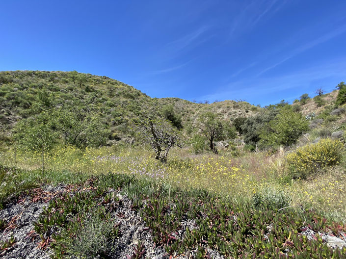 Image No.50-5 Bed Property for sale